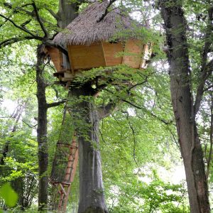 Cabane perchée dans un arbre, entourée de verdure luxuriante en Haute-Normandie.