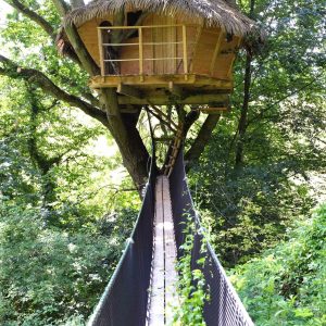 Cabane perchée dans un arbre, accessible par un pont suspendu verdoyant.