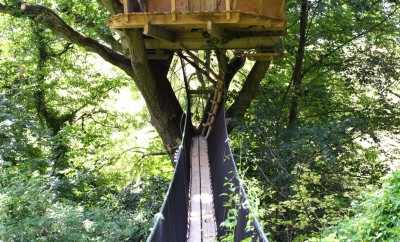 Cabane Le Vieux Chêne