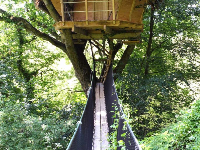 Cabane perchée dans un arbre, accessible par un pont suspendu verdoyant.