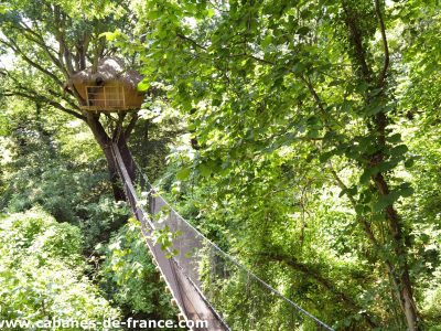 Cabane perchée dans un arbre, accessible par une passerelle, entourée de verdure.