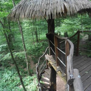 Cabane perchée en bois avec toit en chaume, entourée darbres verdoyants.
