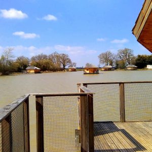 Cabane flottante en Nouvelle-Aquitaine, vue sur un lac paisible et des arbres.