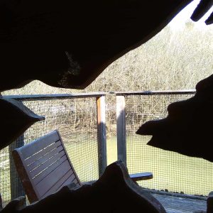 Cabane sur pilotis en Nouvelle-Aquitaine, vue sur la nature à travers une découpe artistique.