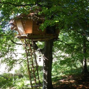 Cabane perchée dans un arbre, entourée de verdure luxuriante en Haute-Normandie.