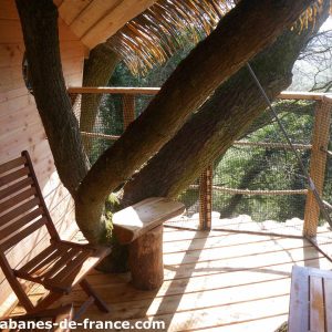 Cabane perchée en bois avec un arbre traversant, offrant une vue apaisante.