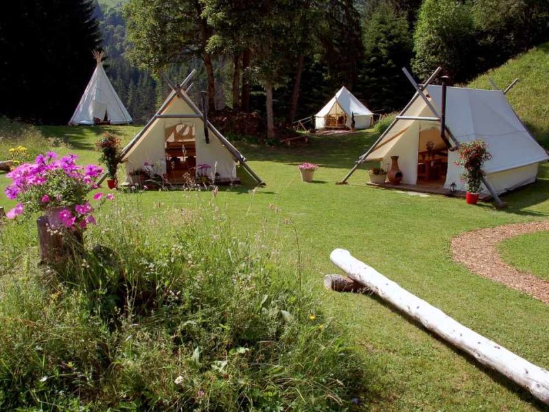 Tentes tipi dans un cadre verdoyant, entourées de fleurs colorées et de bois.
