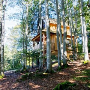 Cabane perchée en bois, entourée darbres majestueux en Bourgogne-Franche-Comté.