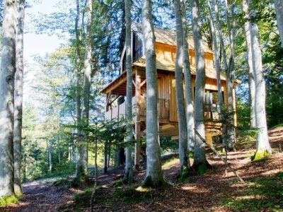 Cabane perchée en bois, entourée darbres majestueux en Bourgogne-Franche-Comté.