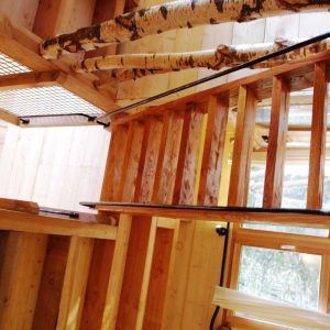 Cabane perchée en bois avec un escalier en colimaçon et des détails en bouleau.
