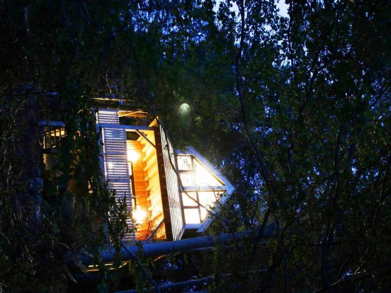 Cabane perchée en Bourgogne-Franche-Comté, illuminée au milieu des arbres.