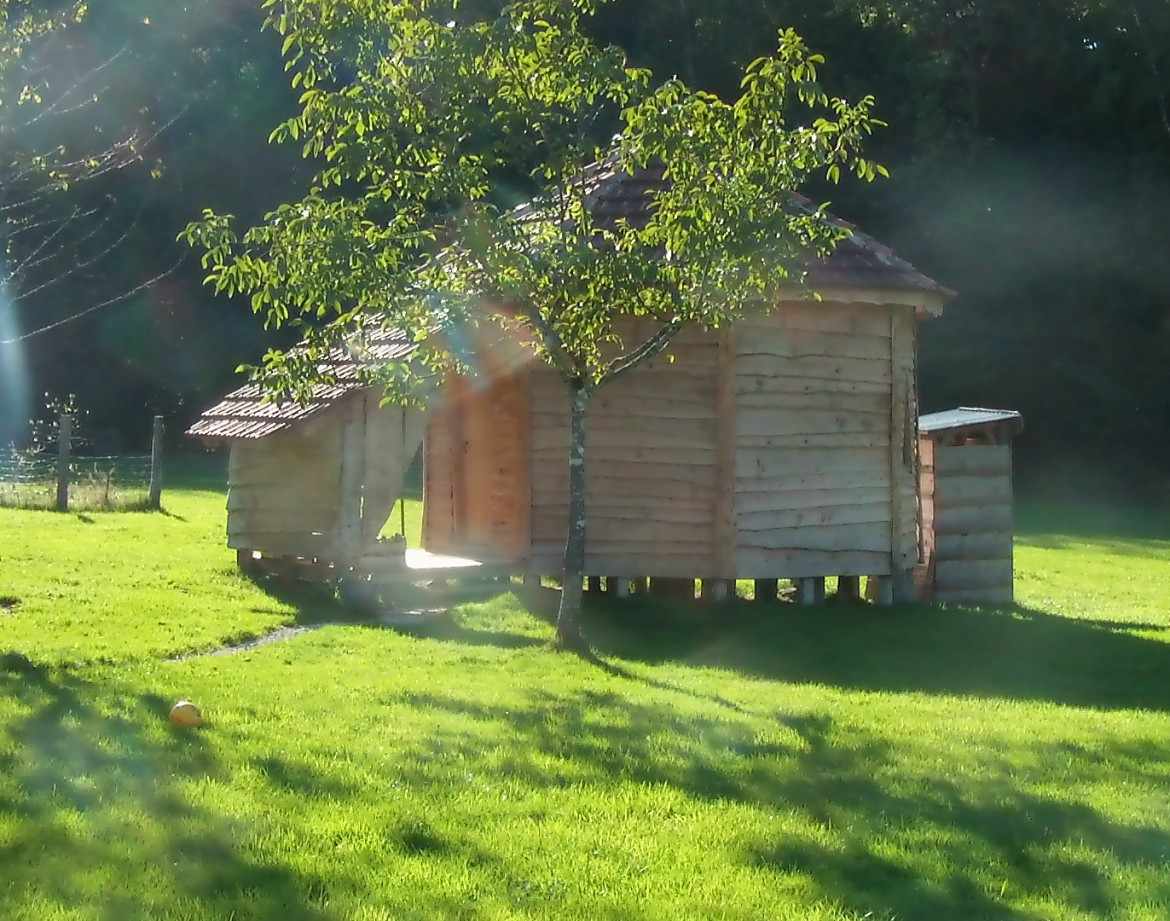 Cabane en bois ronde, entourée dun jardin verdoyant et ensoleillé.