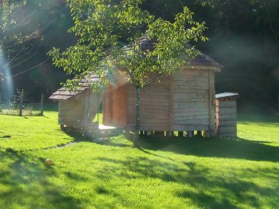 Cabane en bois ronde, entourée dun jardin verdoyant et ensoleillé.