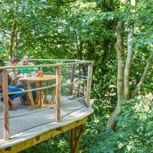 Cabane perchée dans les arbres, avec une terrasse en bois et vue sur la forêt verdoyante.