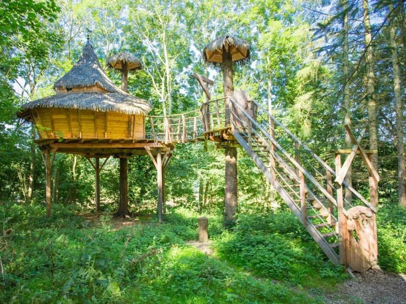 Cabane perchée dans les arbres, entourée de verdure luxuriante à Hauts-de-France.