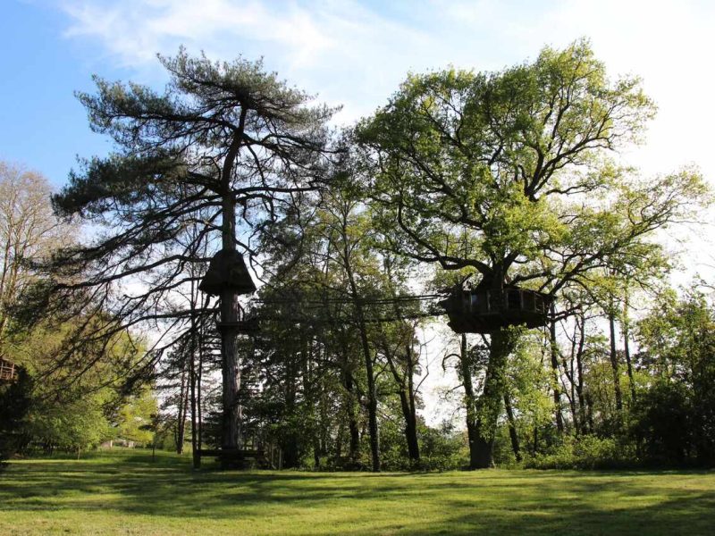 Cabane dans les arbres entourée de verdure, offrant une vue paisible sur la nature.