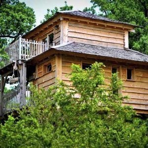 Cabane perchée en bois avec terrasse, entourée darbres verdoyants en Midi-Pyrénées.