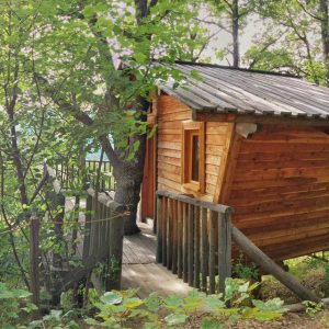 Cabane en bois perchée dans les arbres, entourée de verdure luxuriante.