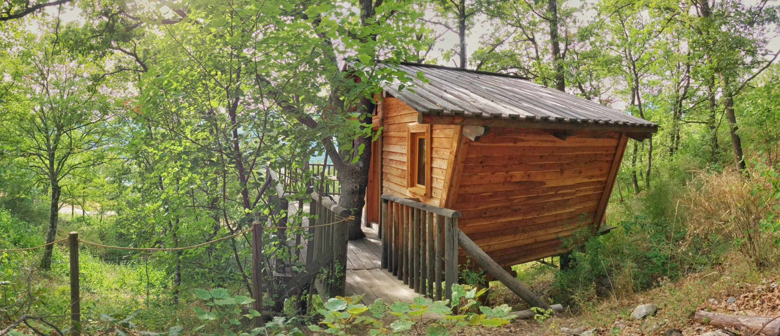 Cabane Bannette passerelle 20160819 Cabane en bois perchée dans les arbres, entourée de verdure luxuriante.