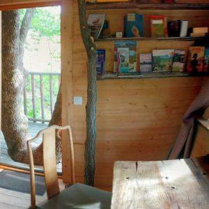Cabane en bois avec lit douillet et vue sur la nature depuis la terrasse.