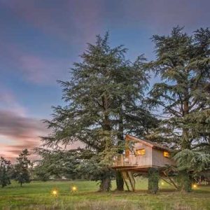 Cabane perchée au milieu des arbres, illuminée au crépuscule en Auvergne-Rhône-Alpes.