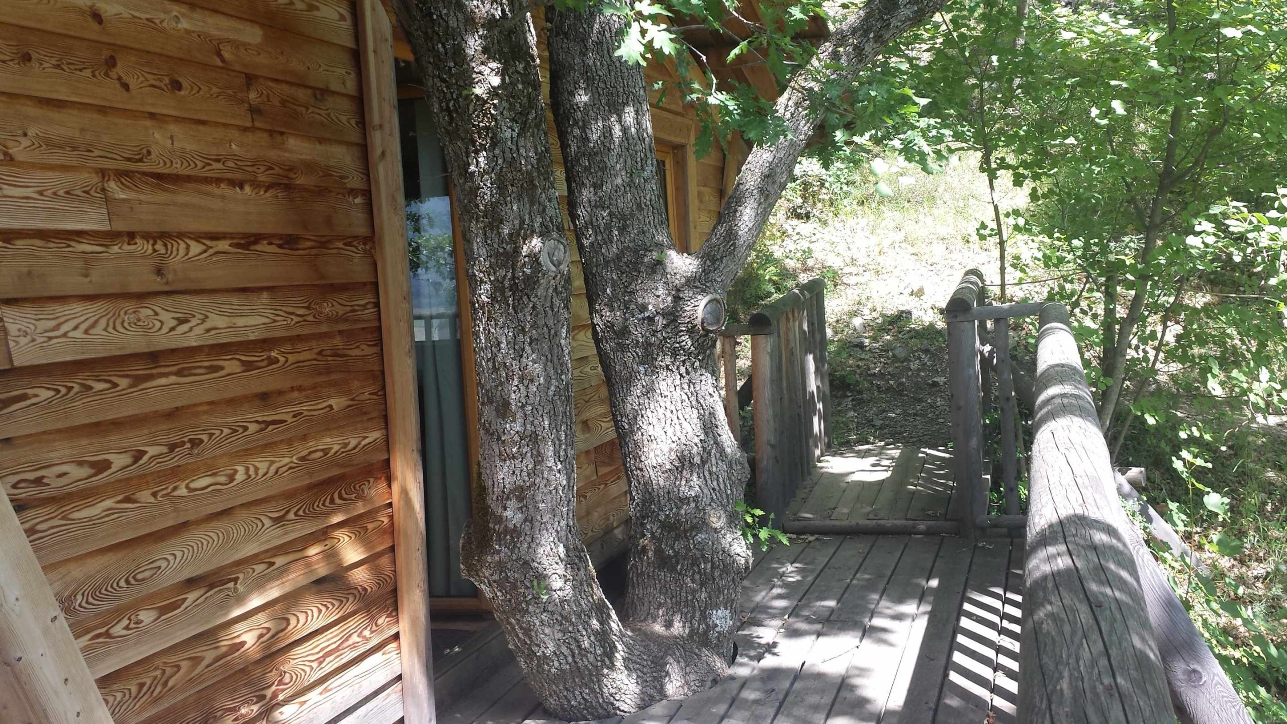 Cabane de la Bannette entree arbre 20160624 Cabane en bois intégrée à un arbre, entourée de verdure en Provence-Alpes-Côte dAzur.