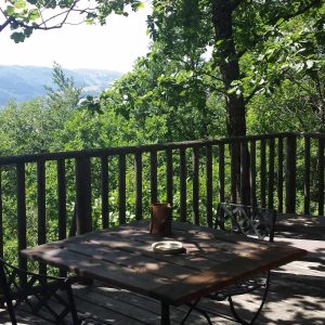 Cabane perchée avec vue panoramique sur la nature verdoyante en Provence-Alpes-Côte dAzur.