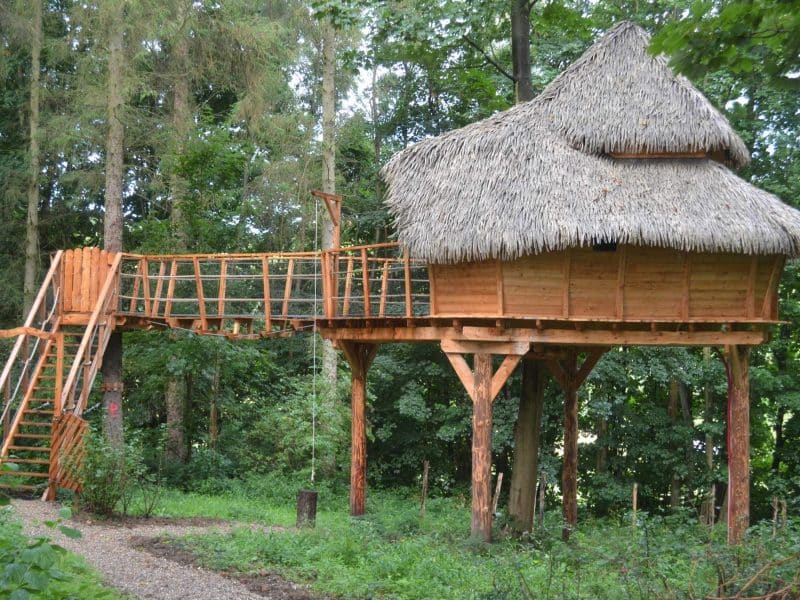 Cabane perchée en bois avec toit de chaume, entourée de verdure luxuriante.