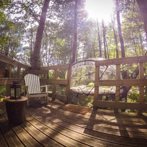 Cabane perchée en forêt, avec un hamac suspendu et une vue dégagée sur la nature.