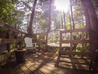 Cabane perchée en forêt, avec un hamac suspendu et une vue dégagée sur la nature.