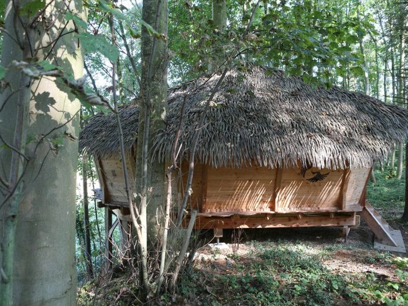 Cabane en bois avec toit de chaume, nichée au cœur de la forêt des Hauts-de-France.