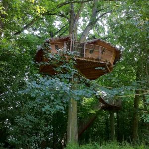 Cabane perchée dans les arbres, entourée de verdure luxuriante en Île-de-France.