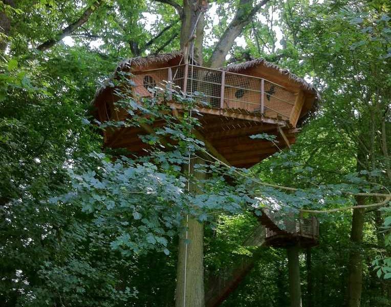 Cabane perchée dans les arbres, entourée de verdure luxuriante en Île-de-France.