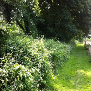 Hébergement insolite en Île-de-France, au cœur dun chemin verdoyant et bucolique.