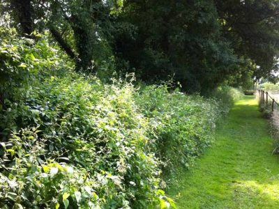 Hébergement insolite en Île-de-France, au cœur dun chemin verdoyant et bucolique.
