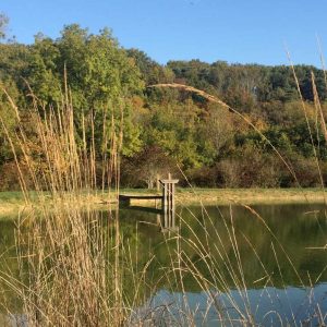 Hébergement insolite en Île-de-France, avec un ponton surplombant un étang paisible.