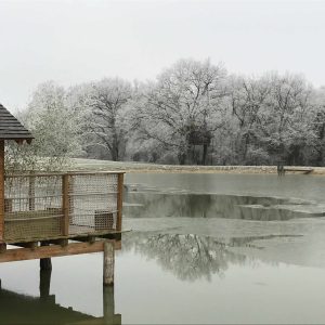 Cabane sur pilotis au bord dun lac gelé, entourée darbres givrés.