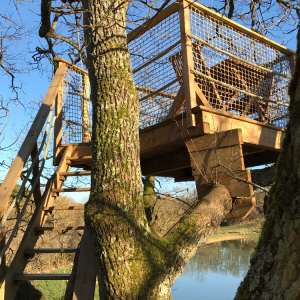 Cabane perchée dans un arbre, offrant une vue imprenable sur la nature environnante.