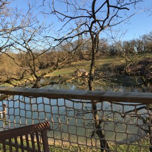 Cabane perchée en Ile-de-France avec vue sur un lac et des arbres dénudés.