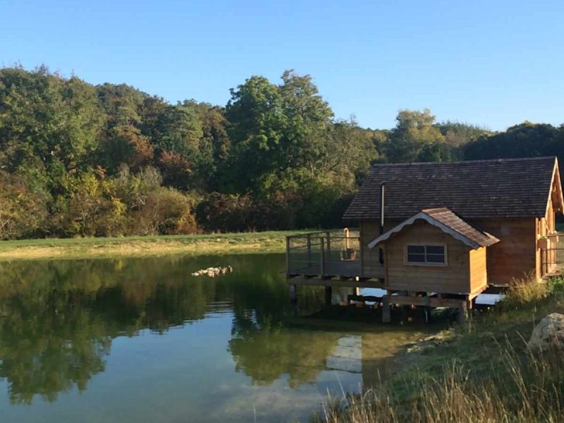 Cabane en bois au bord dun lac, entourée de verdure en Île-de-France.
