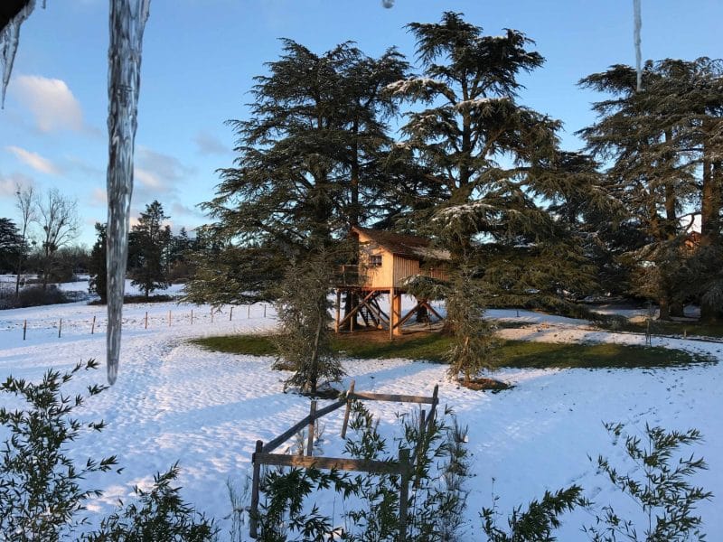Cabane perchée en bois au milieu de la neige, entourée de grands arbres.