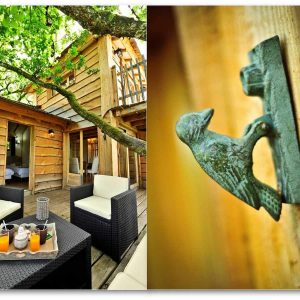 Cabane perchée en bois dans les arbres, avec terrasse et décor naturel.
