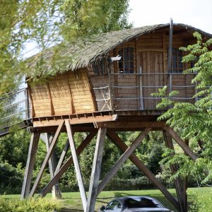 Cabane perchée en bois avec toit de chaume, entourée de verdure.