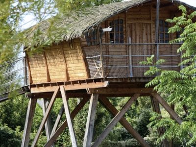 Cabane perchée en bois avec toit de chaume, entourée de verdure.