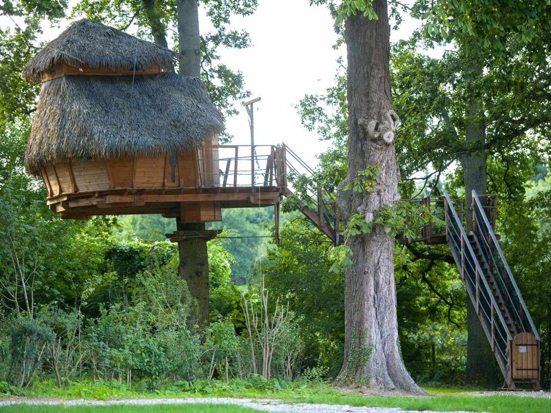 Cabane perchée en bois avec toit de chaume, entourée de verdure luxuriante.