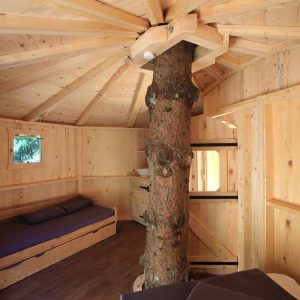 Cabane en bois avec un arbre au centre, offrant un cadre naturel et chaleureux.