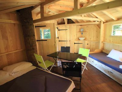 Cabane en bois cosy en Auvergne-Rhône-Alpes, avec un arbre au centre et mobilier moderne.