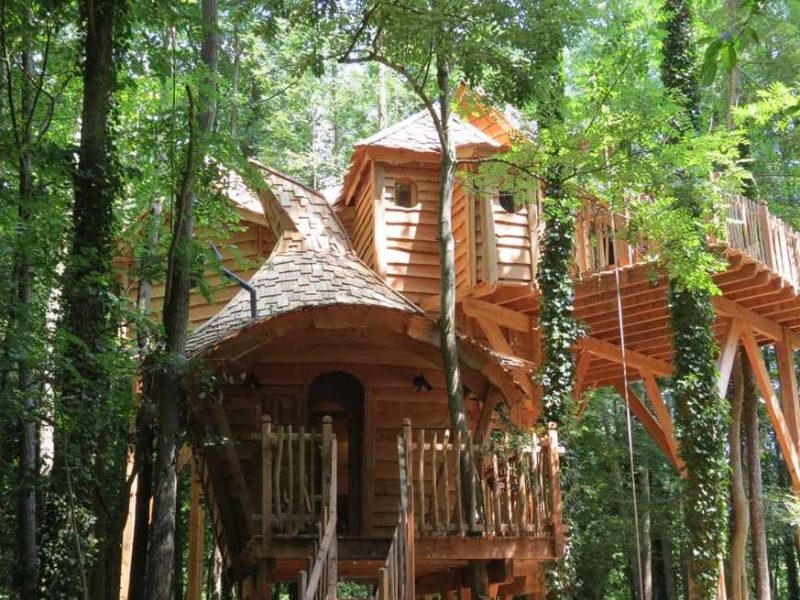 Cabane dans les arbres en Île-de-France, entourée de verdure luxuriante.