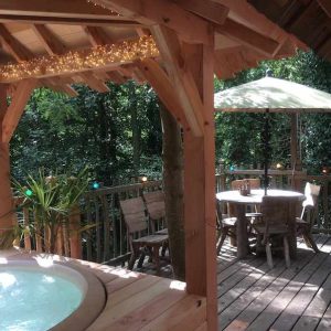 Cabane perchée en Île-de-France avec jacuzzi et terrasse en bois entourée de verdure.