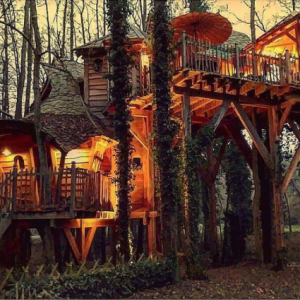 Cabane perchée en bois, illuminée, entourée darbres en Île-de-France.